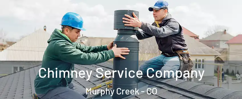 Chimney Service Company Murphy Creek - CO