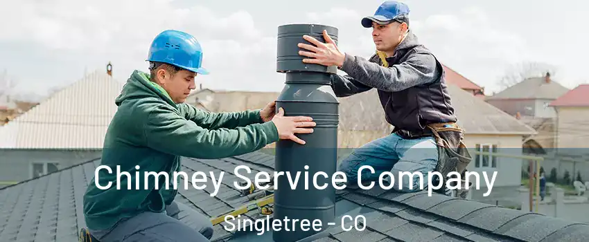 Chimney Service Company Singletree - CO