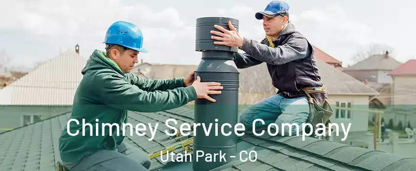 Chimney Service Company Utah Park - CO