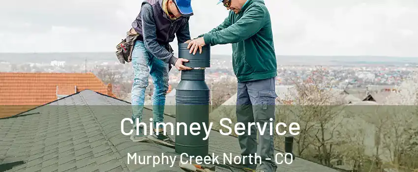 Chimney Service Murphy Creek North - CO