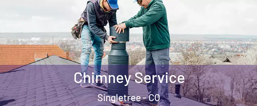 Chimney Service Singletree - CO