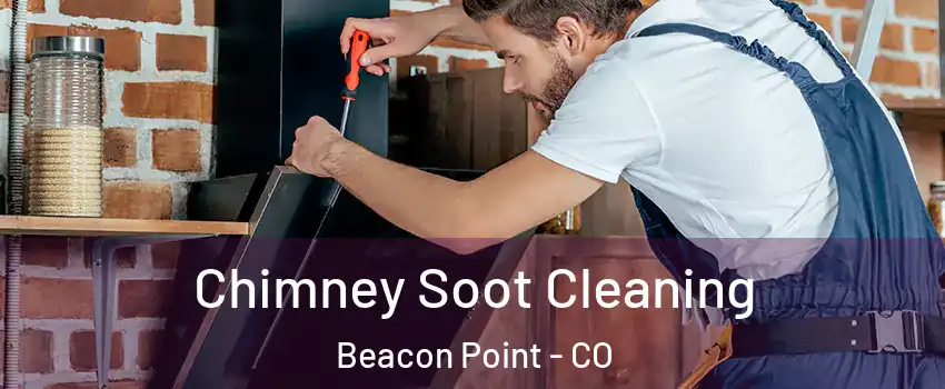 Chimney Soot Cleaning Beacon Point - CO