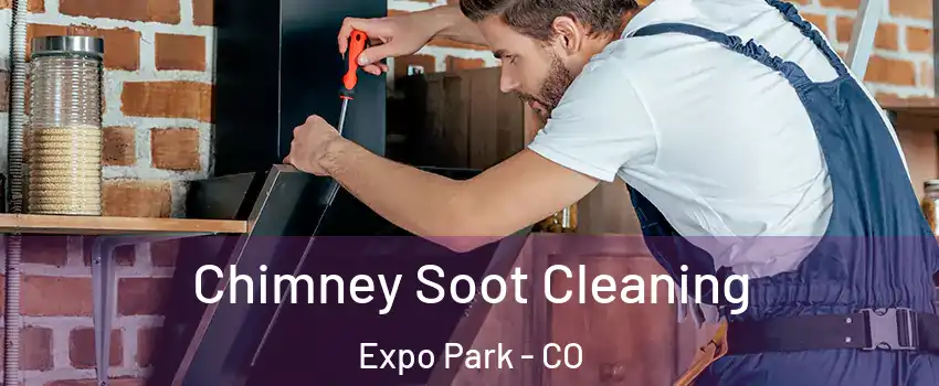 Chimney Soot Cleaning Expo Park - CO