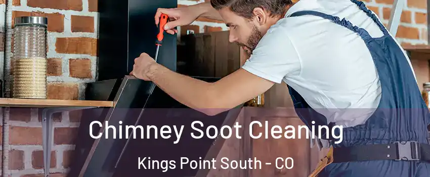 Chimney Soot Cleaning Kings Point South - CO