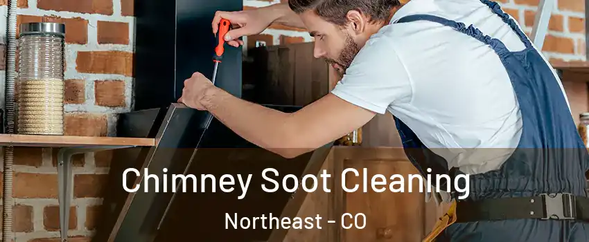 Chimney Soot Cleaning Northeast - CO