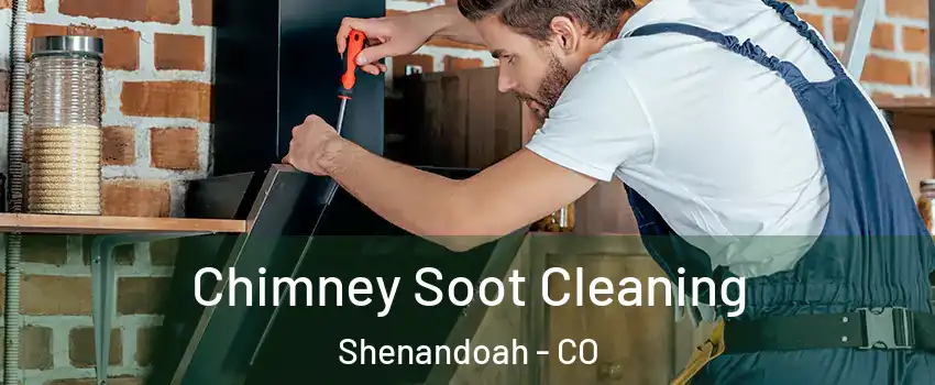 Chimney Soot Cleaning Shenandoah - CO