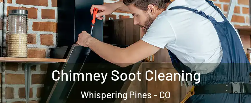 Chimney Soot Cleaning Whispering Pines - CO