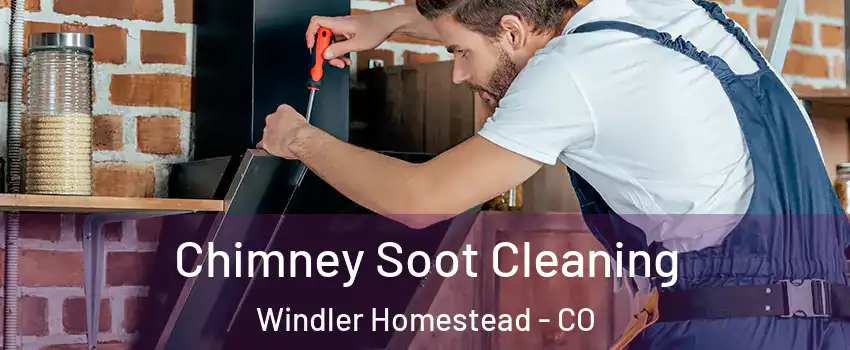 Chimney Soot Cleaning Windler Homestead - CO