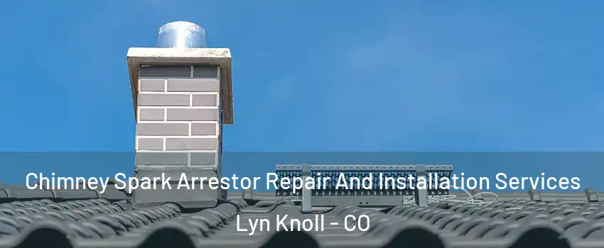 Chimney Spark Arrestor Repair And Installation Services Lyn Knoll - CO