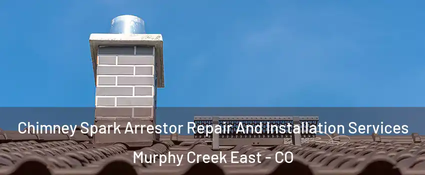 Chimney Spark Arrestor Repair And Installation Services Murphy Creek East - CO