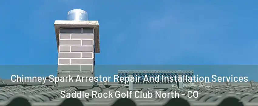 Chimney Spark Arrestor Repair And Installation Services Saddle Rock Golf Club North - CO