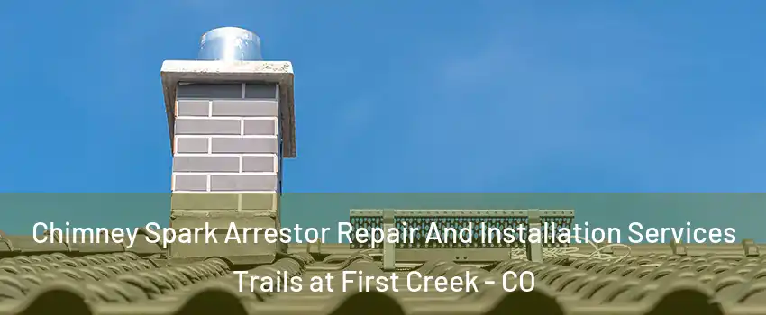 Chimney Spark Arrestor Repair And Installation Services Trails at First Creek - CO