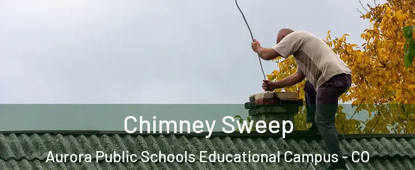 Chimney Sweep Aurora Public Schools Educational Campus - CO