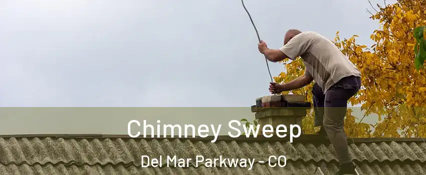 Chimney Sweep Del Mar Parkway - CO