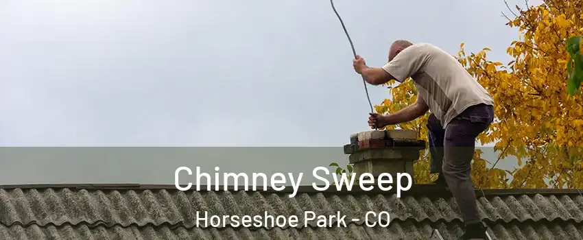 Chimney Sweep Horseshoe Park - CO