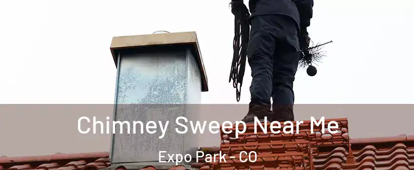 Chimney Sweep Near Me Expo Park - CO