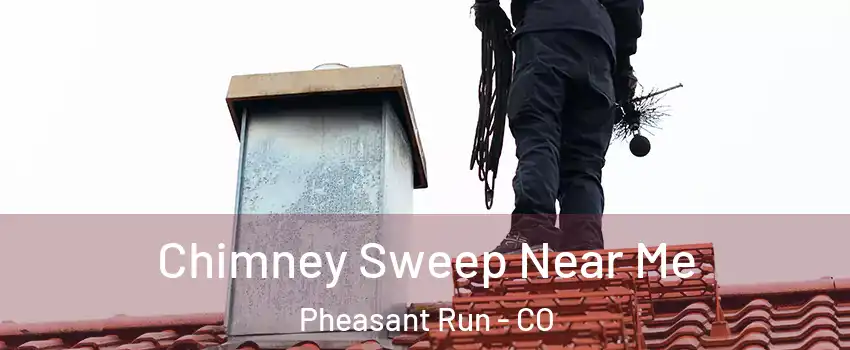 Chimney Sweep Near Me Pheasant Run - CO