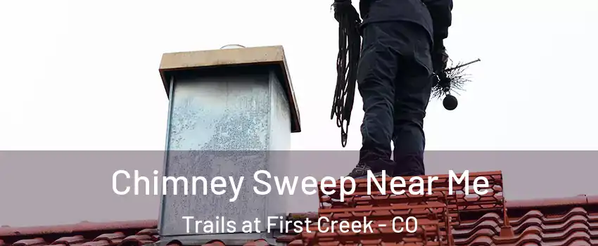 Chimney Sweep Near Me Trails at First Creek - CO