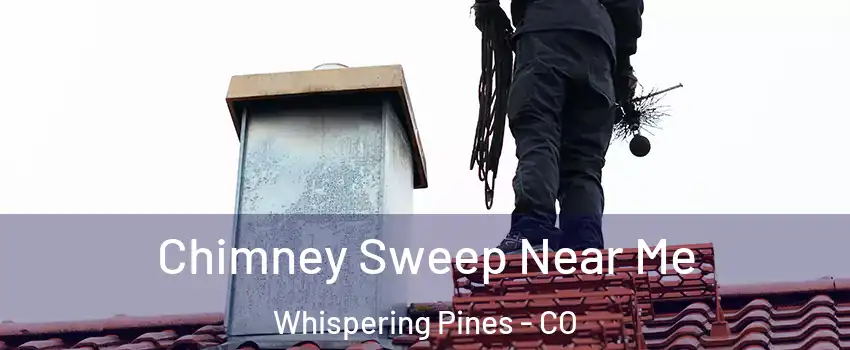 Chimney Sweep Near Me Whispering Pines - CO