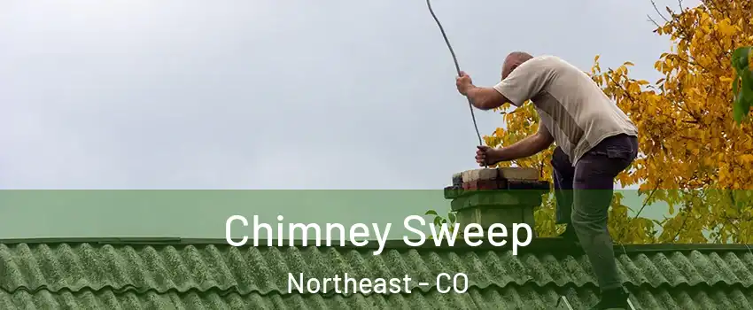 Chimney Sweep Northeast - CO