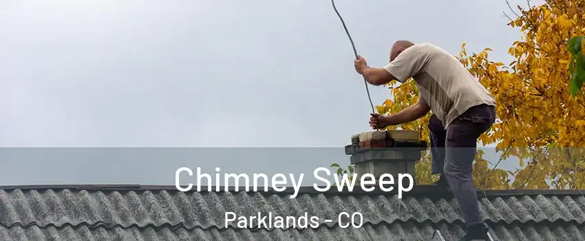 Chimney Sweep Parklands - CO