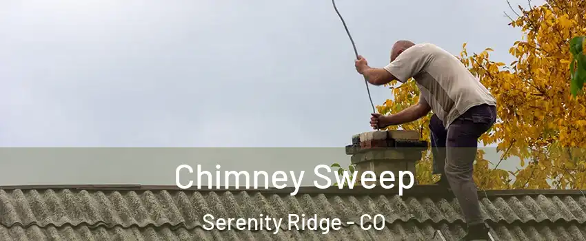 Chimney Sweep Serenity Ridge - CO