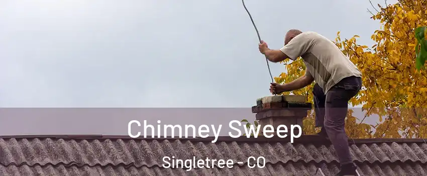 Chimney Sweep Singletree - CO