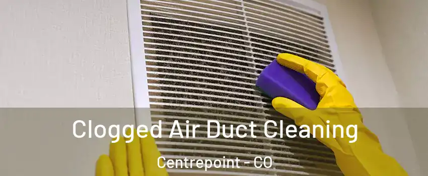 Clogged Air Duct Cleaning Centrepoint - CO