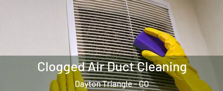 Clogged Air Duct Cleaning Dayton Triangle - CO