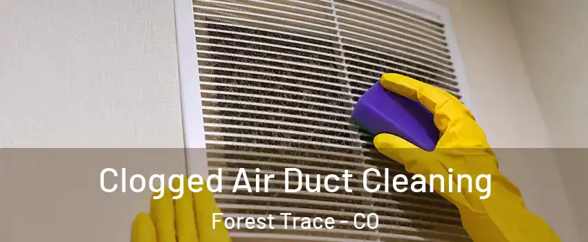 Clogged Air Duct Cleaning Forest Trace - CO