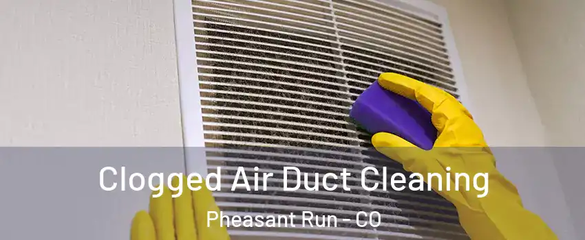 Clogged Air Duct Cleaning Pheasant Run - CO