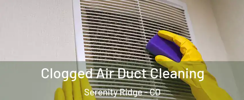 Clogged Air Duct Cleaning Serenity Ridge - CO