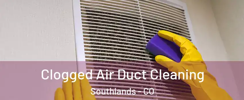 Clogged Air Duct Cleaning Southlands - CO