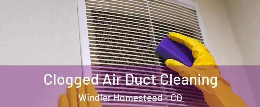 Clogged Air Duct Cleaning Windler Homestead - CO