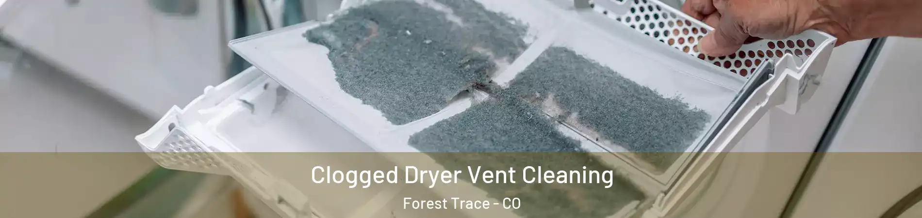 Clogged Dryer Vent Cleaning Forest Trace - CO