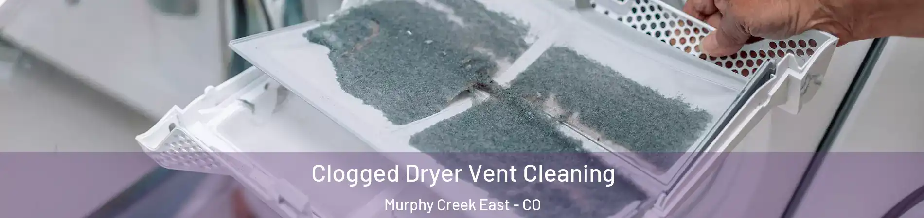 Clogged Dryer Vent Cleaning Murphy Creek East - CO