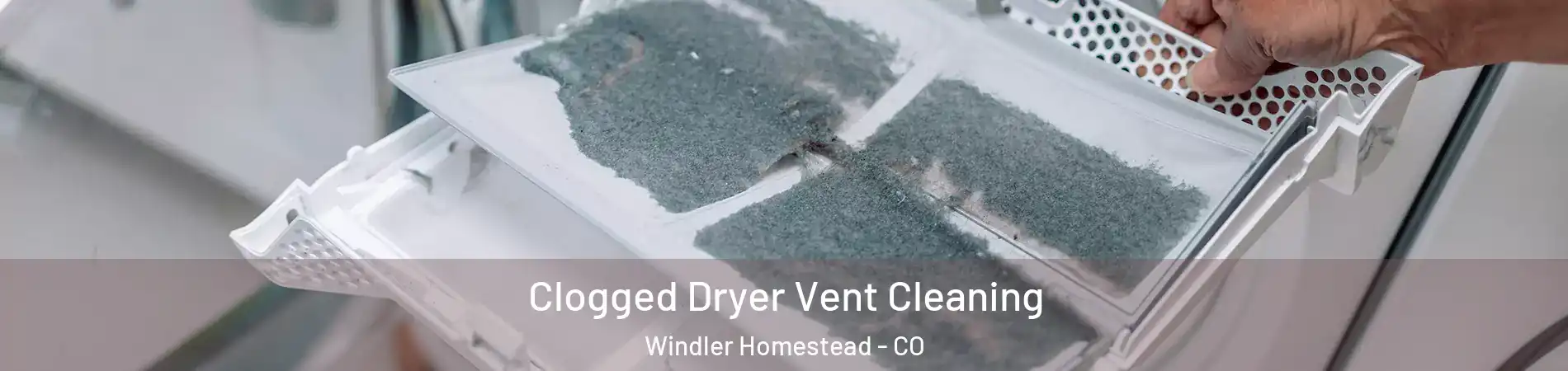 Clogged Dryer Vent Cleaning Windler Homestead - CO