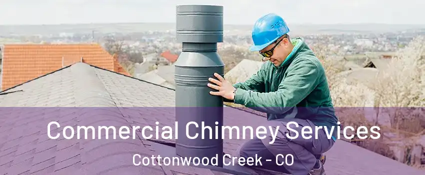 Commercial Chimney Services Cottonwood Creek - CO