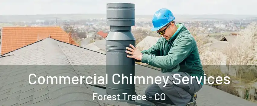 Commercial Chimney Services Forest Trace - CO