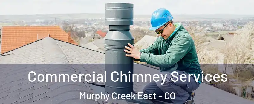 Commercial Chimney Services Murphy Creek East - CO