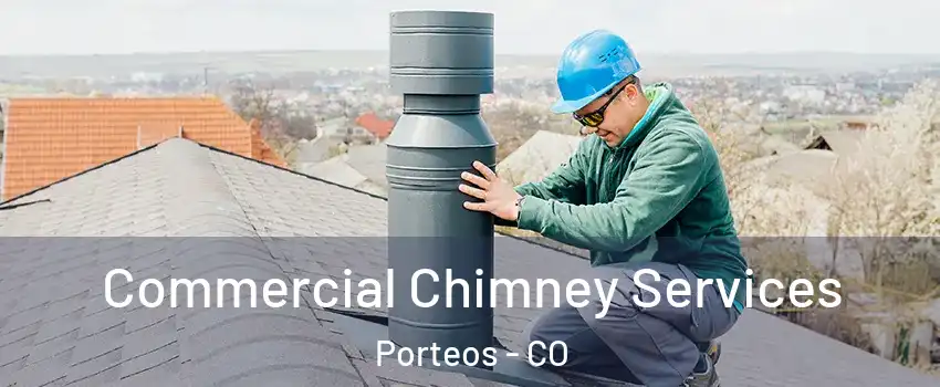 Commercial Chimney Services Porteos - CO