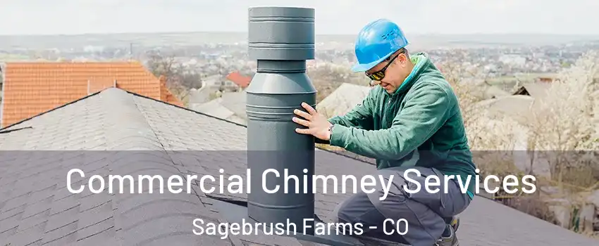 Commercial Chimney Services Sagebrush Farms - CO