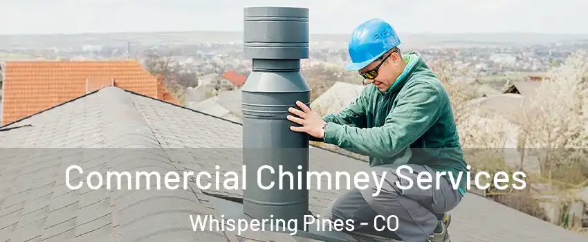 Commercial Chimney Services Whispering Pines - CO