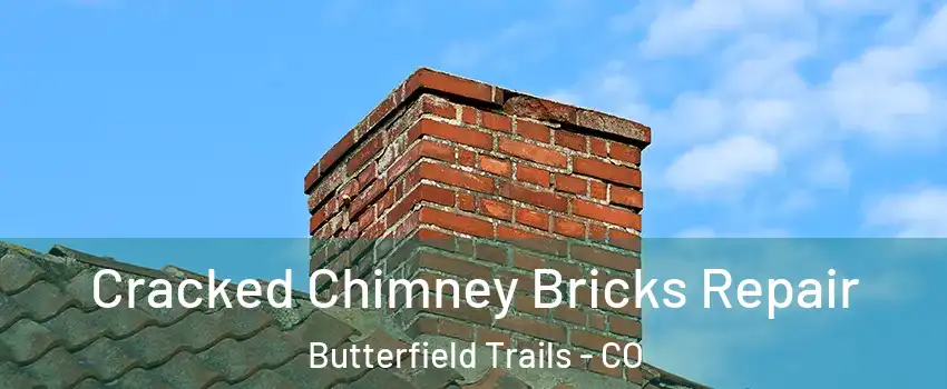 Cracked Chimney Bricks Repair Butterfield Trails - CO