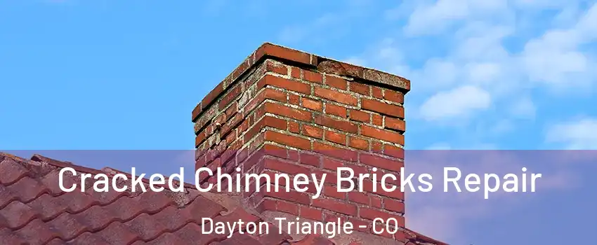 Cracked Chimney Bricks Repair Dayton Triangle - CO