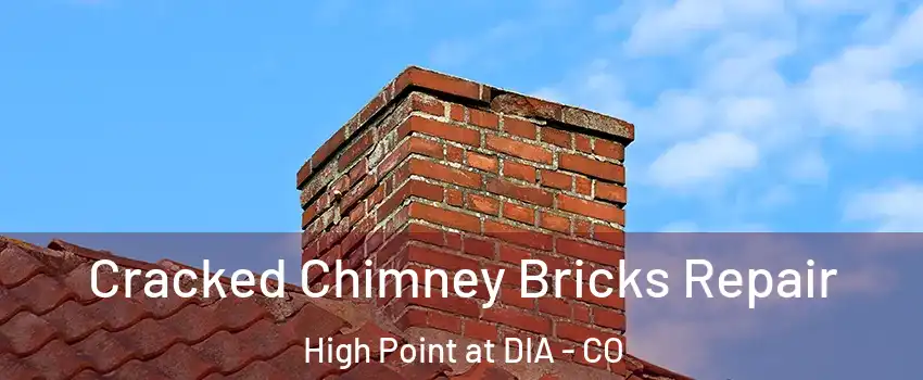 Cracked Chimney Bricks Repair High Point at DIA - CO