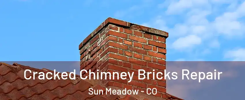 Cracked Chimney Bricks Repair Sun Meadow - CO