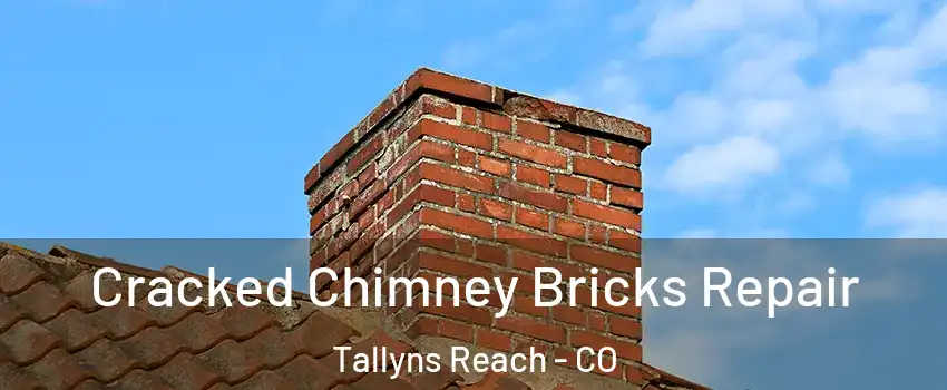 Cracked Chimney Bricks Repair Tallyns Reach - CO