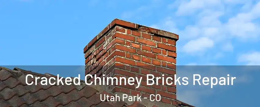 Cracked Chimney Bricks Repair Utah Park - CO