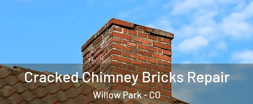 Cracked Chimney Bricks Repair Willow Park - CO